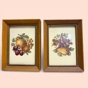Vintage Framed Wooden Wall Shadow Boxes Fruit Art Lot Of 2 #’d & Handwritten